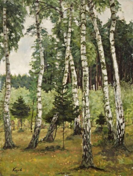 63. tétel, Nyírfák