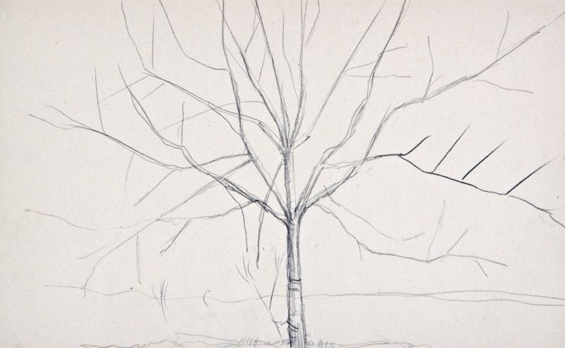 330. tétel, Útmentén, Fa