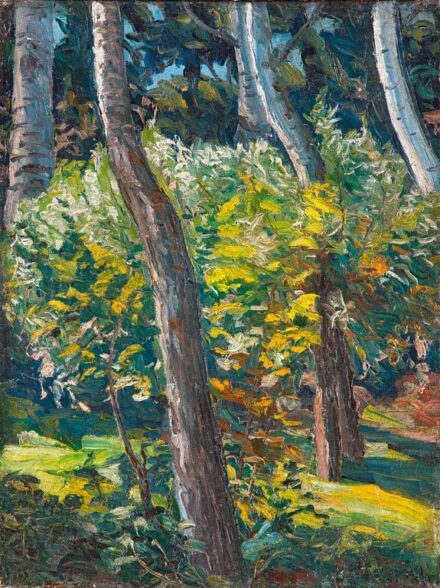 551. tétel, Widder Félix (1874-1939): Napsütötte erdőbelső