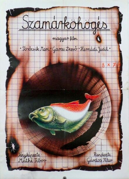 135. tétel,  Szamárköhögés , 1987