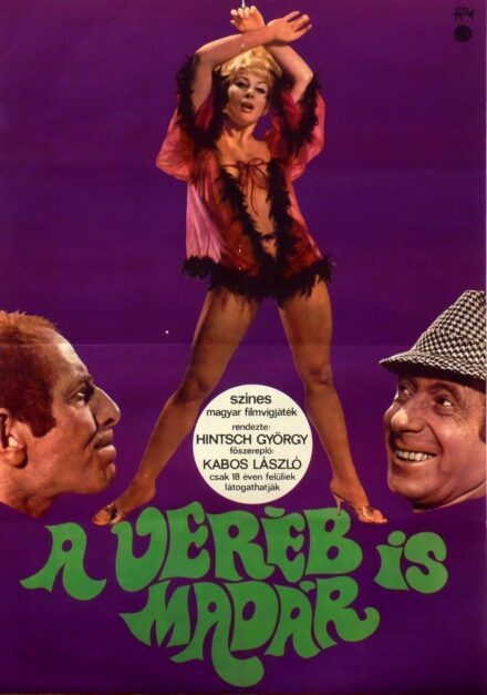 36. tétel,  A veréb is madár, 1969
