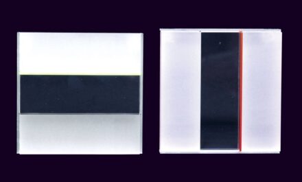 56. tétel, Phospho F; Phospho B, 2014