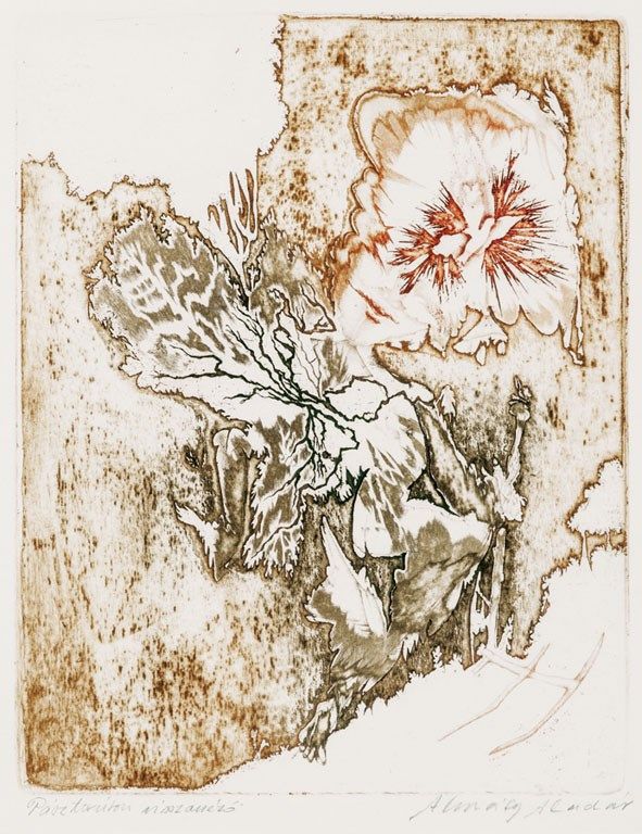 216. tétel, "Vándorúton visszanéző"