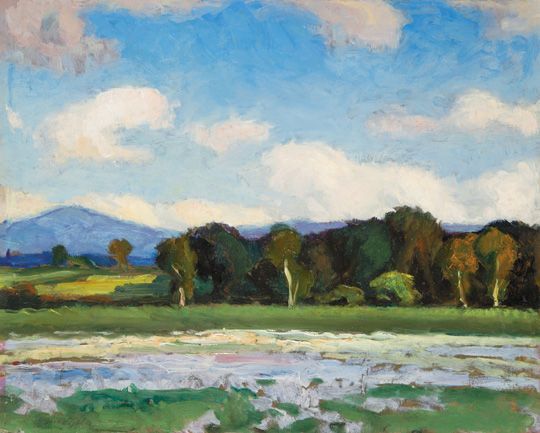 20. tétel, Virágos rét