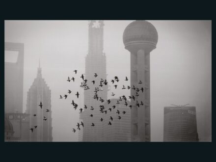 Almásy, Nicky: A Shanghai Tower épülése 
