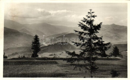 Borsa, Visó völgye / valley (EK)