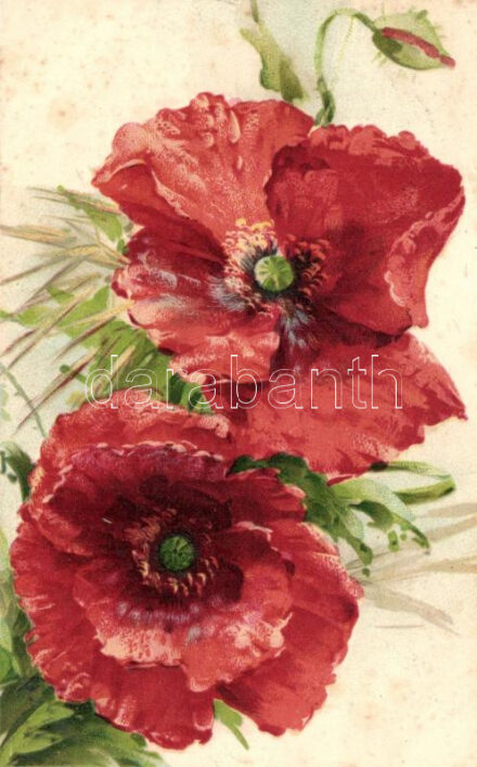 Poppy litho (fl)