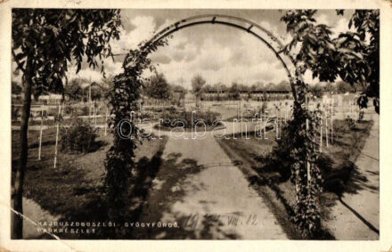 Hajdúszoboszló, park (EB)