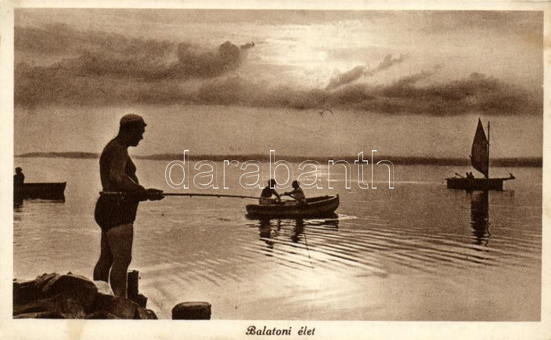 Balaton, horgászás