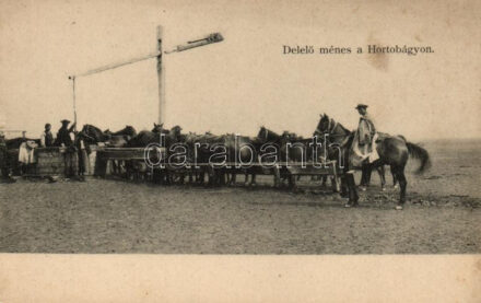 Hortobágy, Delelő Ménes