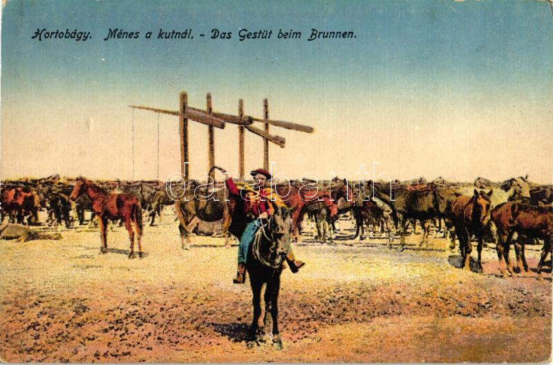Hortobágy, Ménes a kútnál, folklór