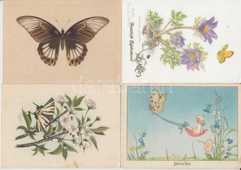 40 db lepke motívum képeslap tétel, főleg nagyalakú, részben modern lapok / 40 mainly modern motive cards, butterfly
