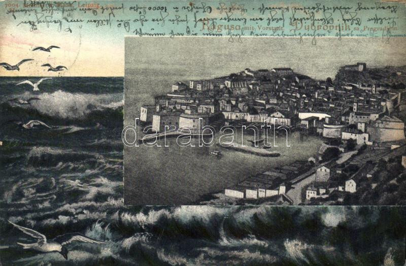 Dubrovnik, Ragusa; seagulls