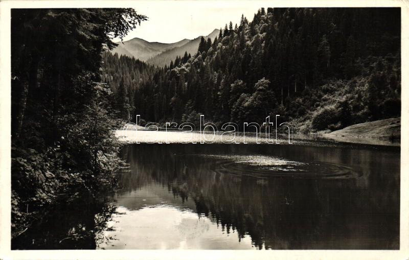 Hoverlai tengerszem / lake (EK)