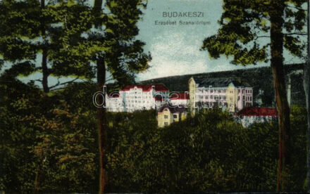 Budakeszi, Erzsébet szanatórium (Rb)