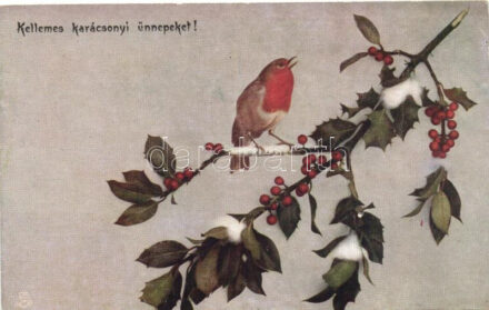 'Kellemes karácsonyi ünnepeket!' / Christmas, robin sitting on a holly branch, Raphael Tuck & Sons Oilette No. 8527 (pinhole)