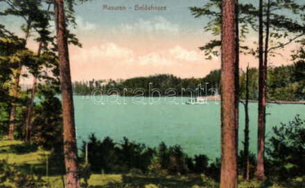 Wierzba, Beldahnsee; (cut)