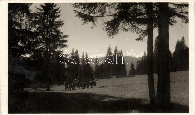 Borszék, Kossuth rét; Heiter György eredeti felvétele és kiadása / park