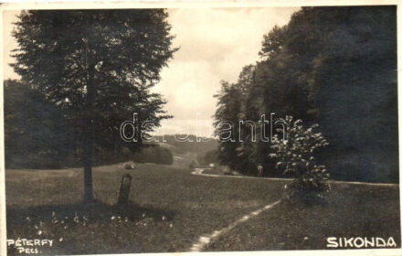 1933 Sikonda, Péterfy photo (EB)