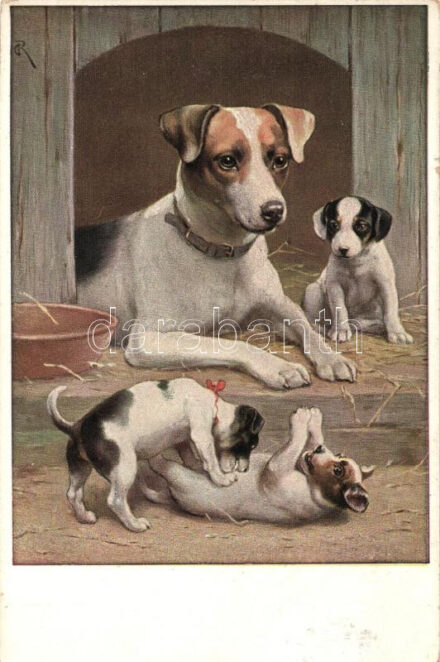 Dogs, T.S.N. Serie 1544.