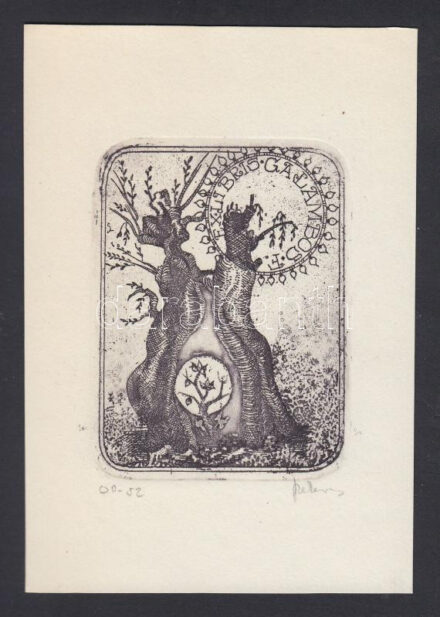 Szekeres Ferenc (1952-): Ex libris Galambos. Rézkarc, papír, jelzett, 8×6 cm