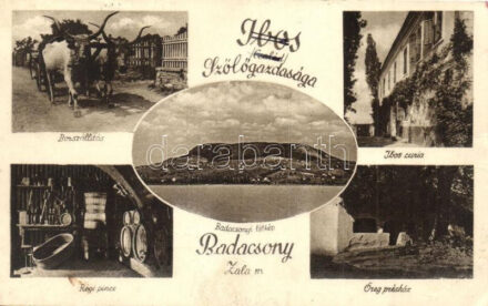 Badacsony, Ibos család szőlőgazdasága, borszállítás, Ibos kúria, látkép, régi pince, öreg présház (EK)