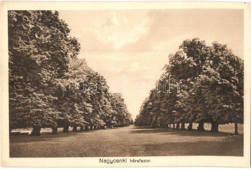 Nagycenk, Hársfasor. Lobenwein Harald fényképész felvétele, Hangya Szövetkezet kiadása