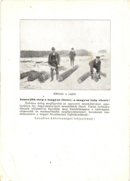 Balatonkenese, Kötözik a nádat, Balaton télen. 'Ismerjük meg a magyar életet: a magyar falu életét!' hazafias propaganda. Kiadja Dr. Dömötör Sándor (EK)