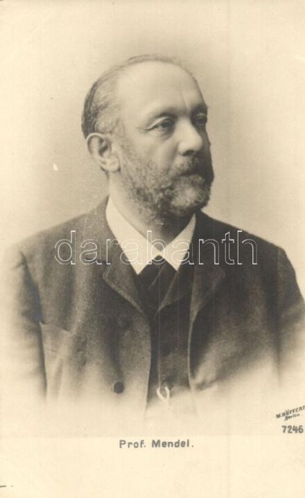 Prof. Emanuel Mendel, German neurologist and psychiatrist
