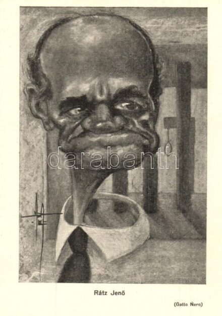 Rátz Jenő magyar katonatiszt és honvédelmi miniszter. Nemzetiszocialista-ellenes gúnyos karikatúra / Hungarian military officer and Minister of Defense. WWII anti-NS mocking caricature s: Gatto Nero (Wittmann Rezső)