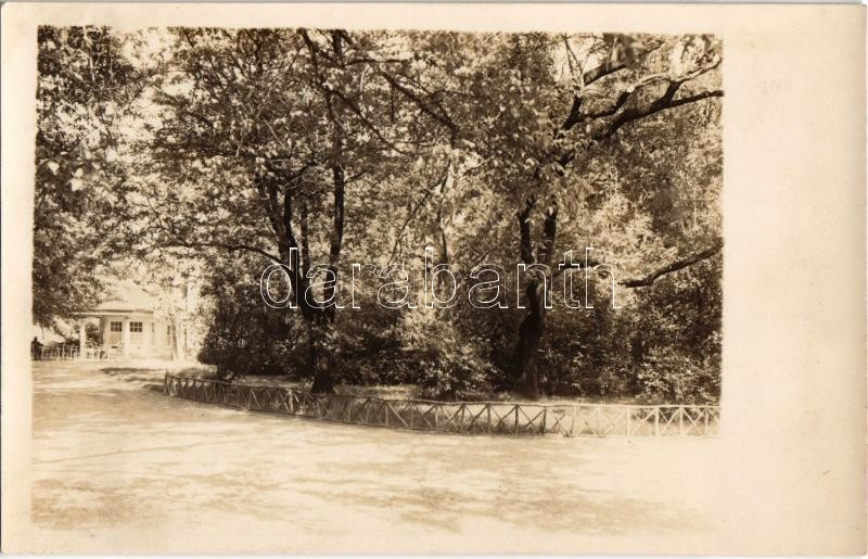 Brassó, Kronstadt, Brasov; Park / park. Gáspár István photo