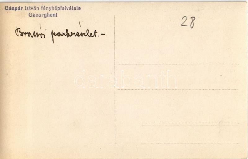 Brassó, Kronstadt, Brasov; Park / park. Gáspár István photo - Image 2