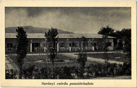 Surány (Pócsmegyer), Kern Márton csárda pansiója, részlet