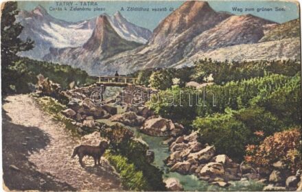 1920 Tátra, Vysoké Tatry; Zöldtóhoz vezető út. Földes Samu kiadása / Cesta k Zelenému plesu / Weg zum grüner See / road to the lake (EK)