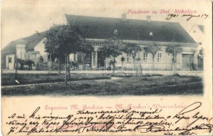 1901 Alsómiholjác, Donji Miholjac (Dol. Miholjca); M. Roscher üzlete / Trgovina M. Roschera / M. Roscher's Waarenhaus / shops (EK)
