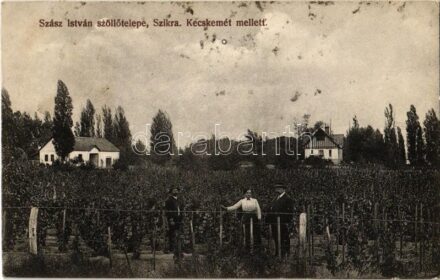 1913 Szikra (Lakitelek), Szász István szőlőtelepe Kecskemét mellett. Fantó fényképész felvétele