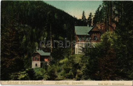 Körmöcbánya, Kremnitz, Kremnica; Zólyomvölgyi nyaralók. Ritter Lipót kiadása / villas