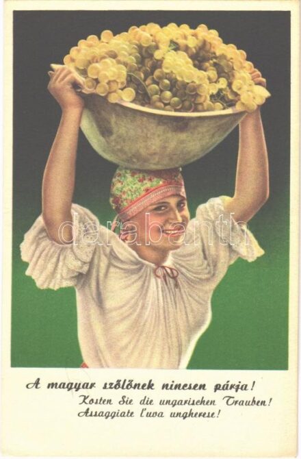 A magyar szőlőnek nincsen párja. Magyar szőlő reklámja, folklór. Klösz György és Fia kiadása / Hungarian grape advertisement, agricultural propaganda, folklore (EK)