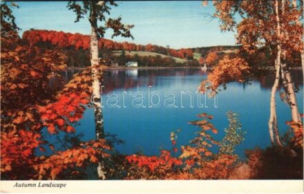 White Mountains (New Hampshire), autumn landscape, general view