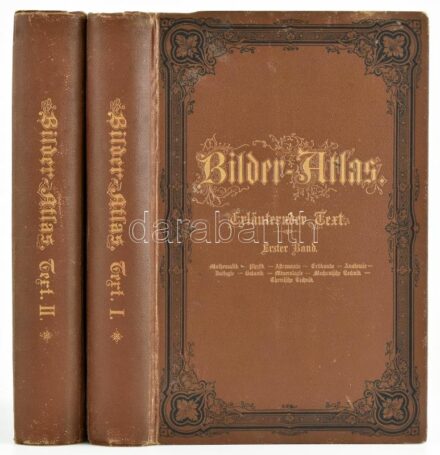 Bilder-Atlas. Ikonographische Encyklopädie der Wissenschaften und Künste. Ein Ergänzungswerk zu jedem Conversations-Lexikon. Erläuternder Text 1-2. Bearbeitet von Karl Gustav von Bernek, Ferdinand Bischoff, et allii. Leipzig,1875,F. A.