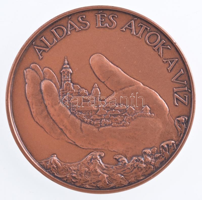 DN 'Áldás és átok a víz / A Közlekedési és Vízügyi Minisztertől' bronz emlékérem (42,5mm) + miniatűr jelvény (10mm) közös, bársony borítású dísztokban T:1