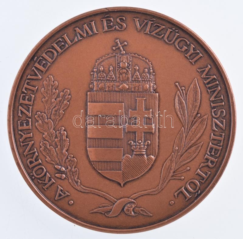 DN 'Áldás és átok a víz / A Közlekedési és Vízügyi Minisztertől' bronz emlékérem (42,5mm) + miniatűr jelvény (10mm) közös, bársony borítású dísztokban T:1 - Image 2