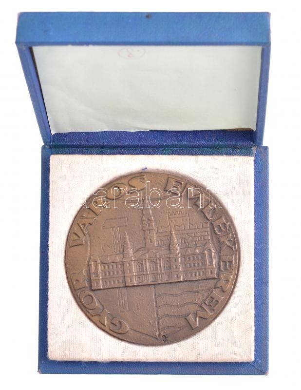 Renner Kálmán (1927-1994) 1971 'Győr Város Emlékérem' öntött bronz emlékérem, hátoldalon gravírozva 'GYŐR 700 ÉVES - KÖZGAZDÁSZ NAPOK 1971' (78mm) T:2 - Image 3