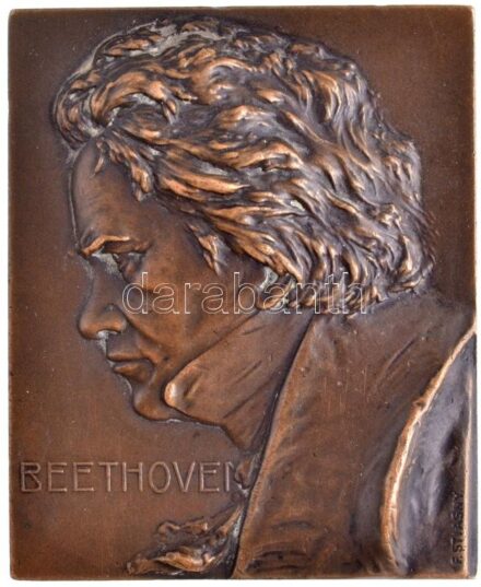 Ausztria ~1910. 'Beethoven' Br plakett kitámasztóval. Szign.: Franz Stiasny (125,92g/65x53mm) T:1-,2 / Austria ~1910. 'Beethoven' Br plaque with support on back. Sign.: Franz Stiasny (126,57g/65x53mm) C:AU,XF