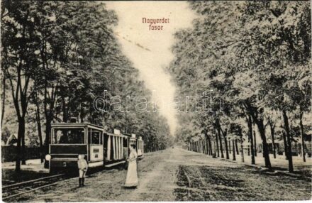 Debrecen, Nagyerdei fasor, kisvasút (vágott / cut)