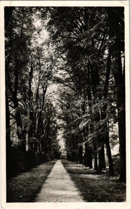 1944 Zirc, Angolkert. Ott Lajos kiadása (EK)