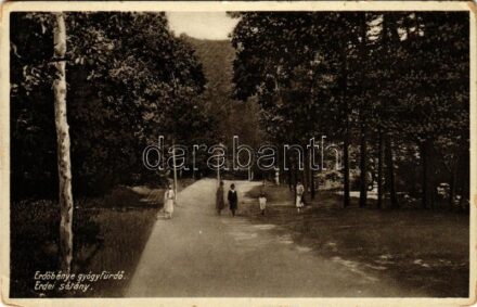 1933 Erdőbénye-gyógyfürdő, erdei sétány. Mautlinger Miklós kiadása (EB)