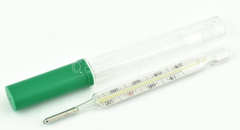 Lázmérő, műanyag tokban.