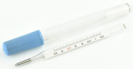 Lázmérő, műanyag tokban. TERUMO