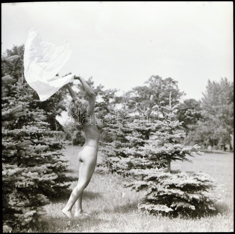 Menesdorfer Lajos (1941-2005) budapesti fotóművész hagyatékából, 11 db vintage NEGATÍV az aktfényképezés műfajából, 6x6 cm